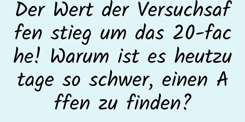 Der Wert der Versuchsaffen stieg um das 20-fache! Warum ist es heutzutage so schwer, einen Affen zu finden?