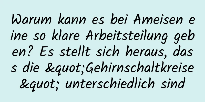 Warum kann es bei Ameisen eine so klare Arbeitsteilung geben? Es stellt sich heraus, dass die "Gehirnschaltkreise" unterschiedlich sind