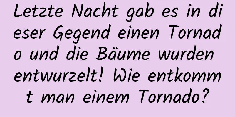 Letzte Nacht gab es in dieser Gegend einen Tornado und die Bäume wurden entwurzelt! Wie entkommt man einem Tornado?