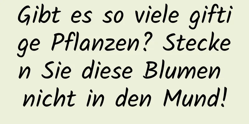 Gibt es so viele giftige Pflanzen? Stecken Sie diese Blumen nicht in den Mund!