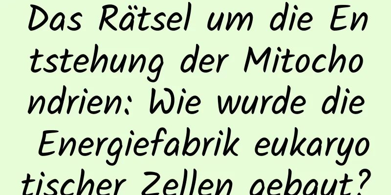Das Rätsel um die Entstehung der Mitochondrien: Wie wurde die Energiefabrik eukaryotischer Zellen gebaut?