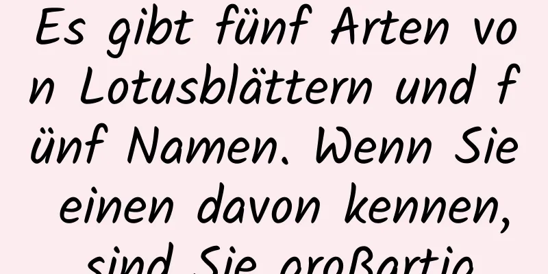 Es gibt fünf Arten von Lotusblättern und fünf Namen. Wenn Sie einen davon kennen, sind Sie großartig.
