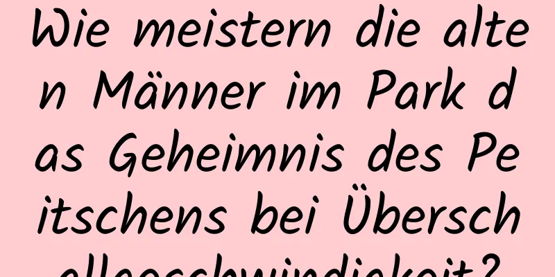 Wie meistern die alten Männer im Park das Geheimnis des Peitschens bei Überschallgeschwindigkeit?