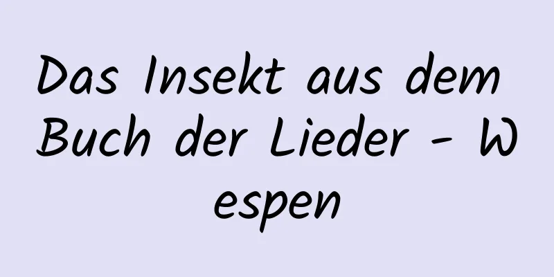 Das Insekt aus dem Buch der Lieder - Wespen