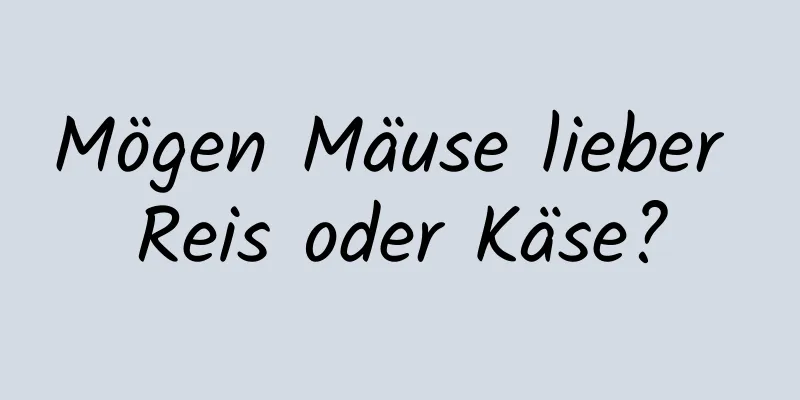 Mögen Mäuse lieber Reis oder Käse?