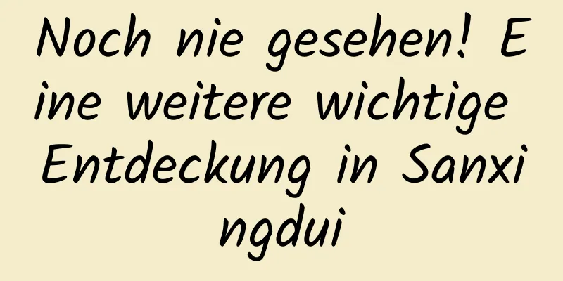 Noch nie gesehen! Eine weitere wichtige Entdeckung in Sanxingdui
