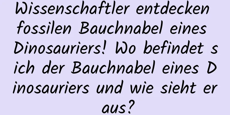 Wissenschaftler entdecken fossilen Bauchnabel eines Dinosauriers! Wo befindet sich der Bauchnabel eines Dinosauriers und wie sieht er aus?