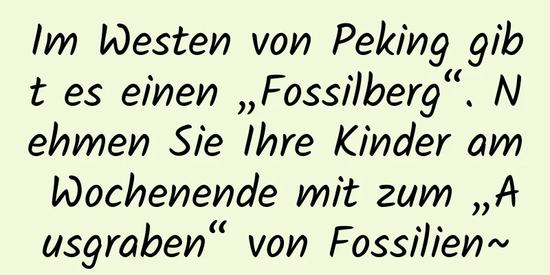 Im Westen von Peking gibt es einen „Fossilberg“. Nehmen Sie Ihre Kinder am Wochenende mit zum „Ausgraben“ von Fossilien~