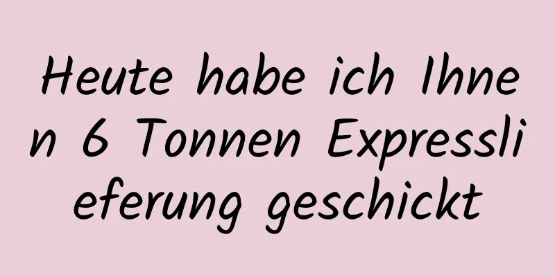 Heute habe ich Ihnen 6 Tonnen Expresslieferung geschickt