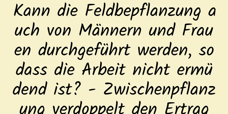 Kann die Feldbepflanzung auch von Männern und Frauen durchgeführt werden, sodass die Arbeit nicht ermüdend ist? - Zwischenpflanzung verdoppelt den Ertrag
