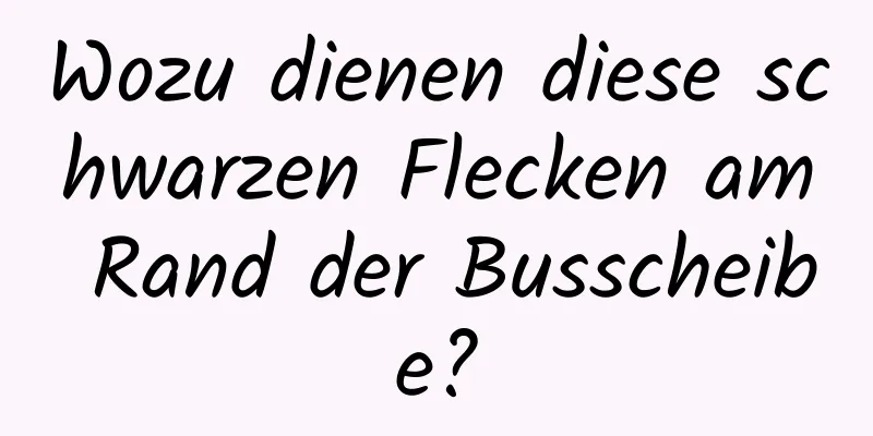 Wozu dienen diese schwarzen Flecken am Rand der Busscheibe?