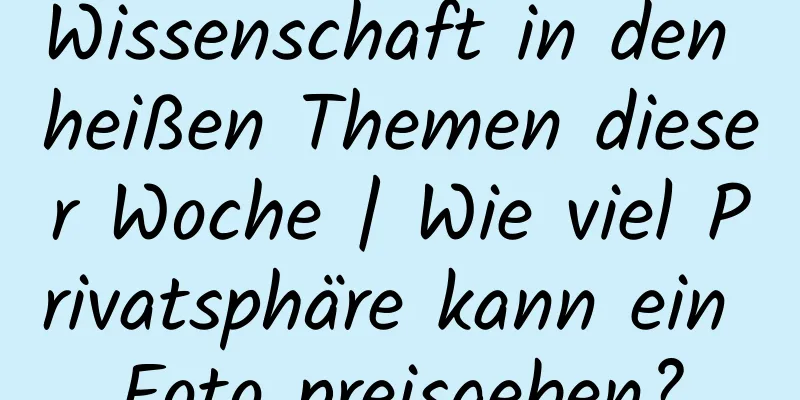 Wissenschaft in den heißen Themen dieser Woche | Wie viel Privatsphäre kann ein Foto preisgeben?