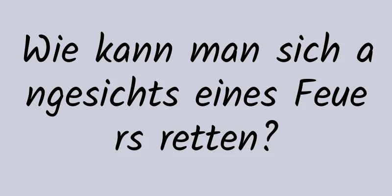 Wie kann man sich angesichts eines Feuers retten?