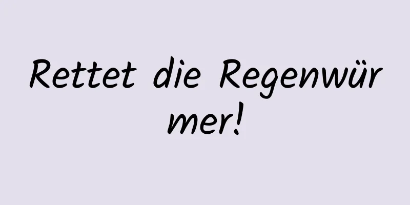 Rettet die Regenwürmer!