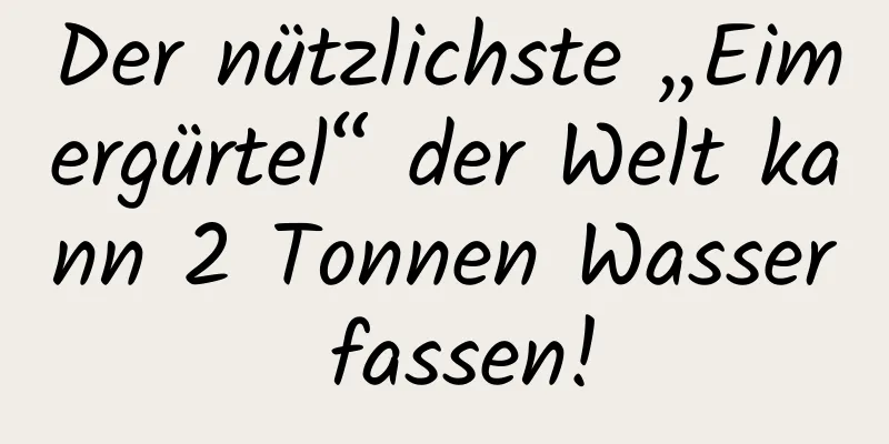 Der nützlichste „Eimergürtel“ der Welt kann 2 Tonnen Wasser fassen!