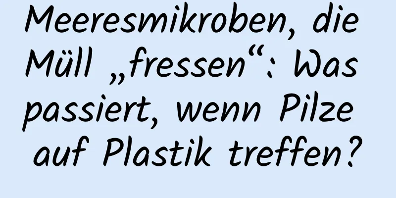 Meeresmikroben, die Müll „fressen“: Was passiert, wenn Pilze auf Plastik treffen?