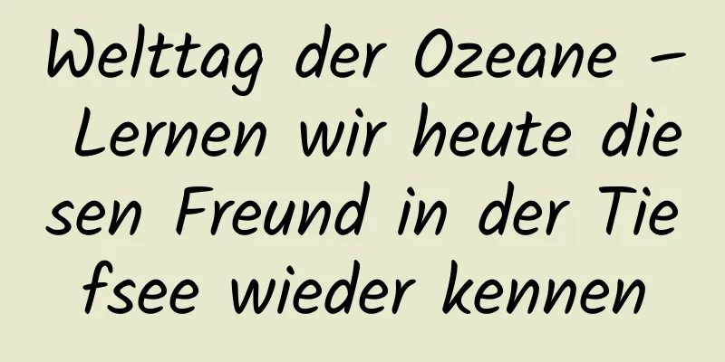 Welttag der Ozeane – Lernen wir heute diesen Freund in der Tiefsee wieder kennen