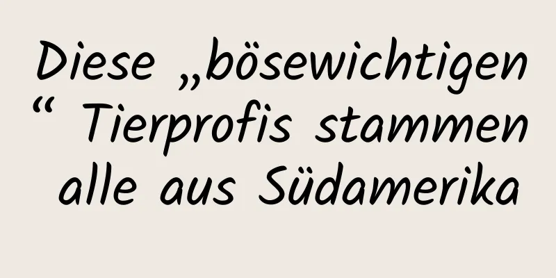 Diese „bösewichtigen“ Tierprofis stammen alle aus Südamerika