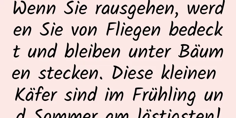 Wenn Sie rausgehen, werden Sie von Fliegen bedeckt und bleiben unter Bäumen stecken. Diese kleinen Käfer sind im Frühling und Sommer am lästigsten!
