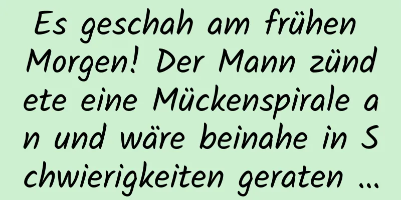 Es geschah am frühen Morgen! Der Mann zündete eine Mückenspirale an und wäre beinahe in Schwierigkeiten geraten …