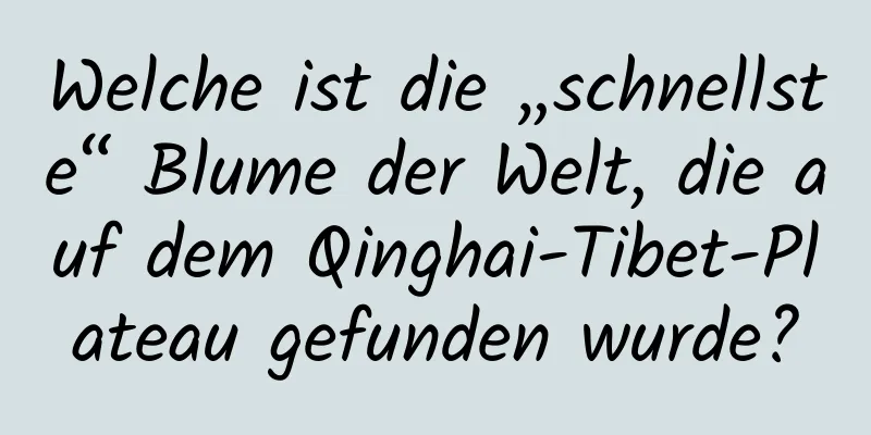 Welche ist die „schnellste“ Blume der Welt, die auf dem Qinghai-Tibet-Plateau gefunden wurde?