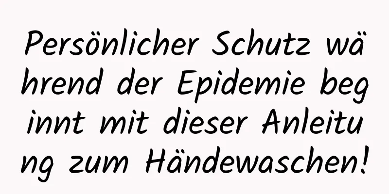 Persönlicher Schutz während der Epidemie beginnt mit dieser Anleitung zum Händewaschen!
