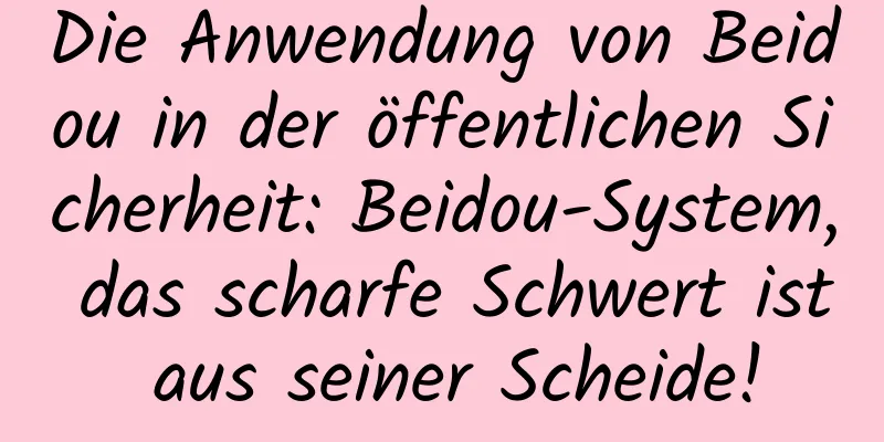 Die Anwendung von Beidou in der öffentlichen Sicherheit: Beidou-System, das scharfe Schwert ist aus seiner Scheide!