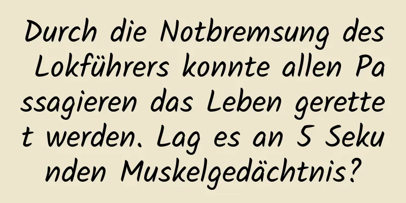 Durch die Notbremsung des Lokführers konnte allen Passagieren das Leben gerettet werden. Lag es an 5 Sekunden Muskelgedächtnis?