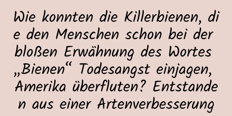Wie konnten die Killerbienen, die den Menschen schon bei der bloßen Erwähnung des Wortes „Bienen“ Todesangst einjagen, Amerika überfluten? Entstanden aus einer Artenverbesserung
