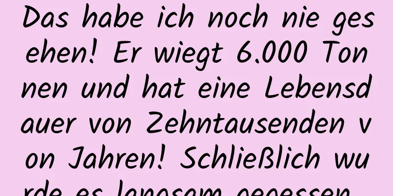 Das habe ich noch nie gesehen! Er wiegt 6.000 Tonnen und hat eine Lebensdauer von Zehntausenden von Jahren! Schließlich wurde es langsam gegessen...