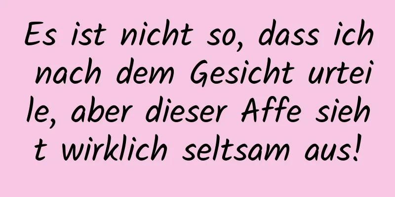 Es ist nicht so, dass ich nach dem Gesicht urteile, aber dieser Affe sieht wirklich seltsam aus!