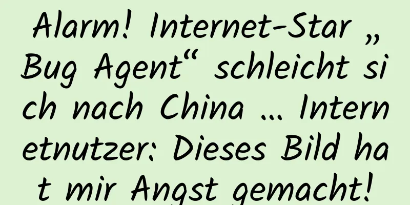 Alarm! Internet-Star „Bug Agent“ schleicht sich nach China … Internetnutzer: Dieses Bild hat mir Angst gemacht!