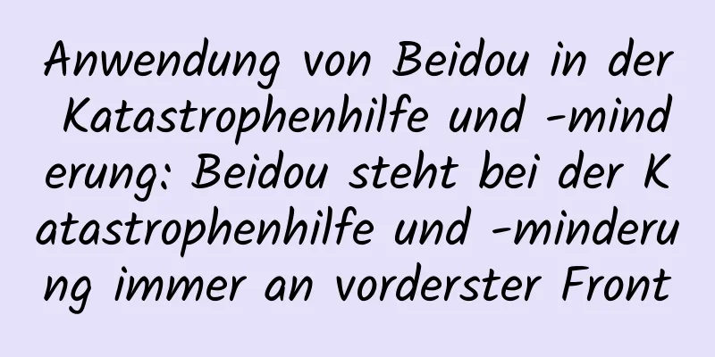Anwendung von Beidou in der Katastrophenhilfe und -minderung: Beidou steht bei der Katastrophenhilfe und -minderung immer an vorderster Front