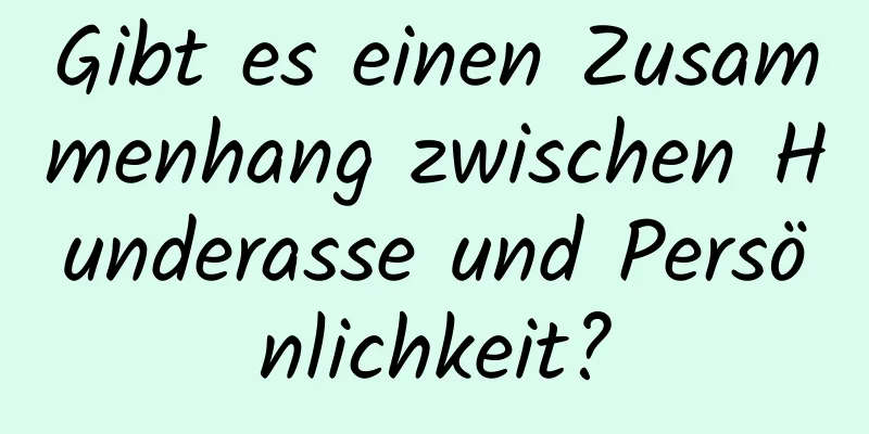 Gibt es einen Zusammenhang zwischen Hunderasse und Persönlichkeit?