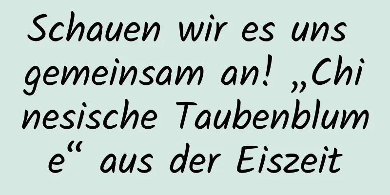 Schauen wir es uns gemeinsam an! „Chinesische Taubenblume“ aus der Eiszeit