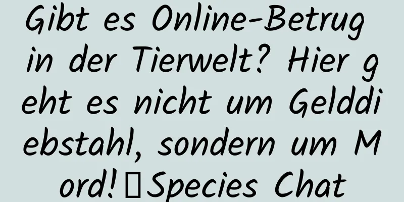 Gibt es Online-Betrug in der Tierwelt? Hier geht es nicht um Gelddiebstahl, sondern um Mord!丨Species Chat