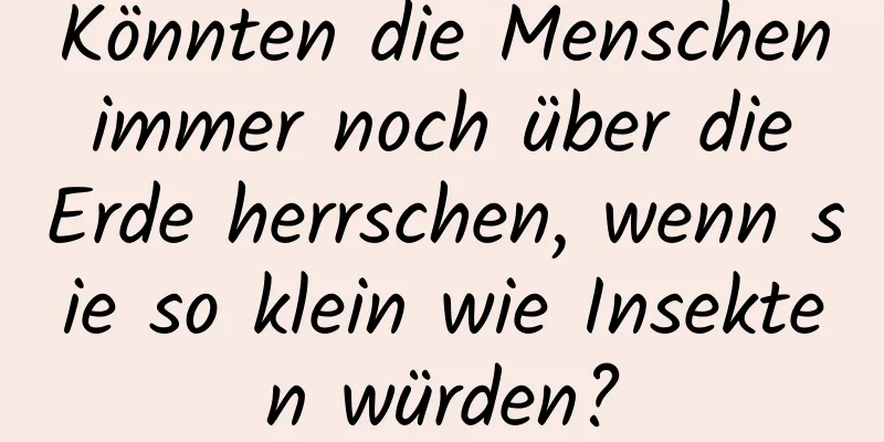 Könnten die Menschen immer noch über die Erde herrschen, wenn sie so klein wie Insekten würden?