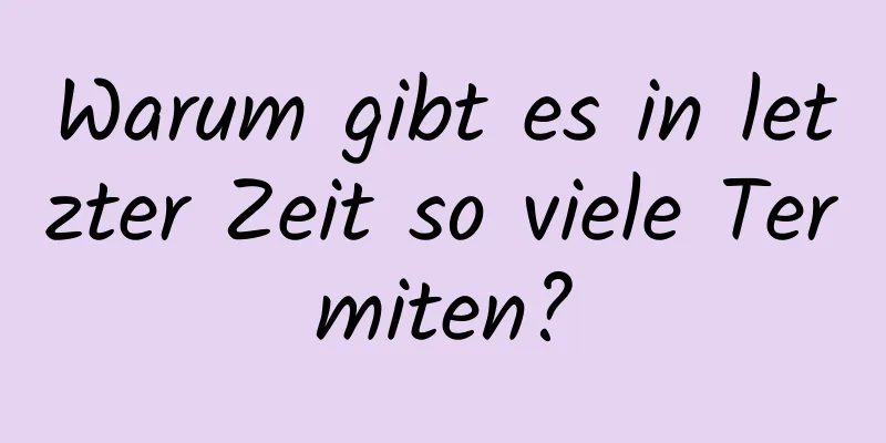 Warum gibt es in letzter Zeit so viele Termiten?