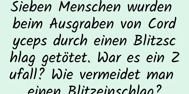 Sieben Menschen wurden beim Ausgraben von Cordyceps durch einen Blitzschlag getötet. War es ein Zufall? Wie vermeidet man einen Blitzeinschlag?