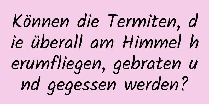 Können die Termiten, die überall am Himmel herumfliegen, gebraten und gegessen werden?