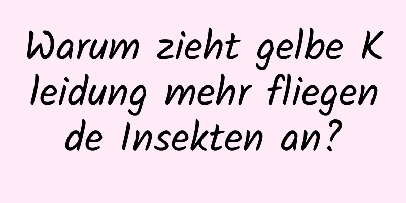 Warum zieht gelbe Kleidung mehr fliegende Insekten an?