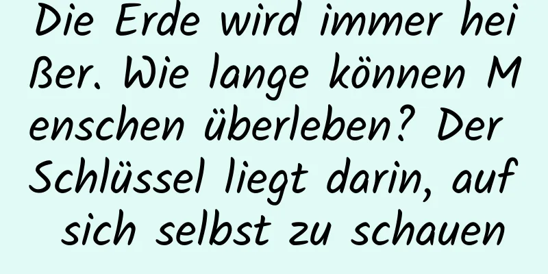 Die Erde wird immer heißer. Wie lange können Menschen überleben? Der Schlüssel liegt darin, auf sich selbst zu schauen