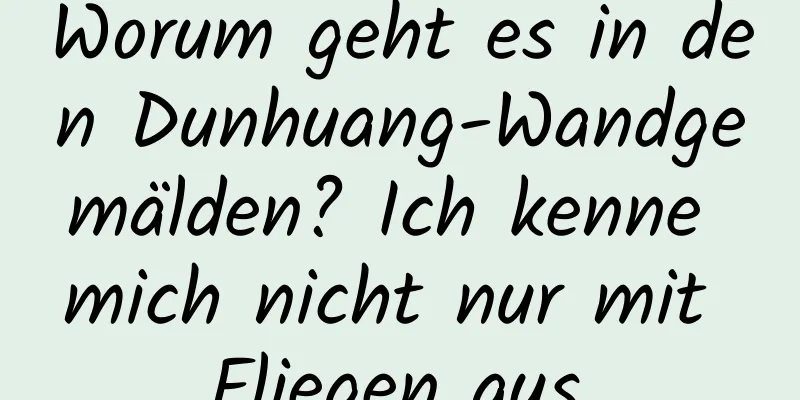 Worum geht es in den Dunhuang-Wandgemälden? Ich kenne mich nicht nur mit Fliegen aus.