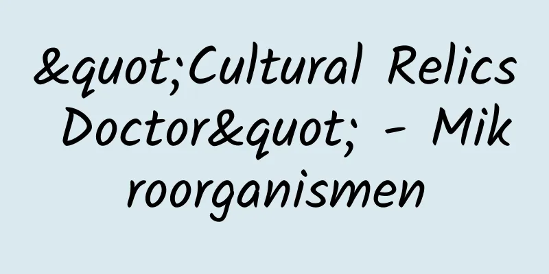 "Cultural Relics Doctor" - Mikroorganismen