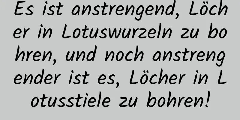 Es ist anstrengend, Löcher in Lotuswurzeln zu bohren, und noch anstrengender ist es, Löcher in Lotusstiele zu bohren!