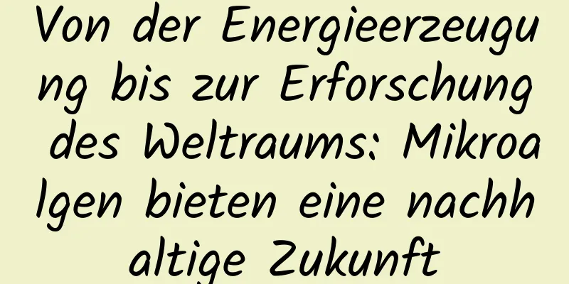 Von der Energieerzeugung bis zur Erforschung des Weltraums: Mikroalgen bieten eine nachhaltige Zukunft