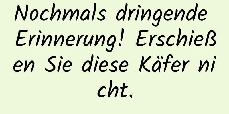 Nochmals dringende Erinnerung! Erschießen Sie diese Käfer nicht.