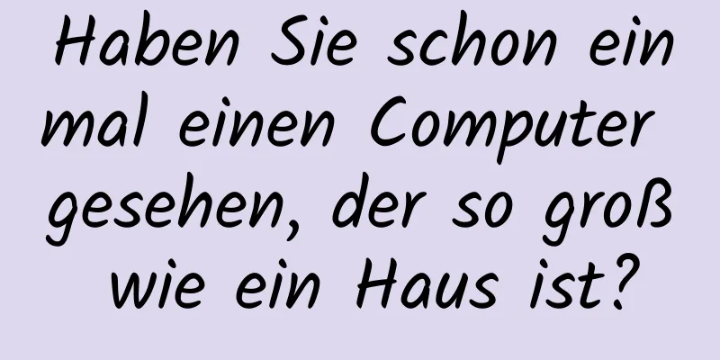 Haben Sie schon einmal einen Computer gesehen, der so groß wie ein Haus ist?