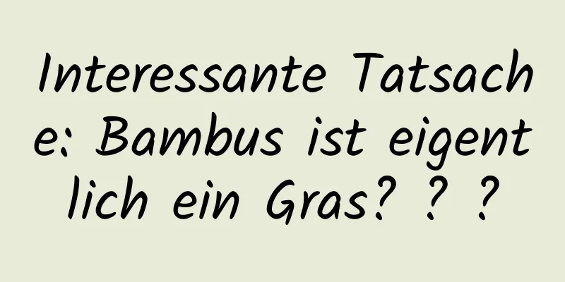 Interessante Tatsache: Bambus ist eigentlich ein Gras? ? ?