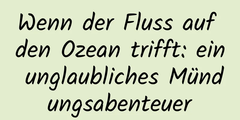 Wenn der Fluss auf den Ozean trifft: ein unglaubliches Mündungsabenteuer